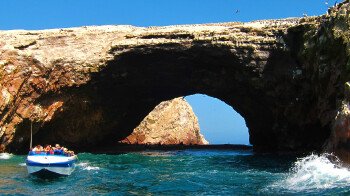 Islas Ballestas - Paracas