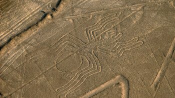 Lineas de Nazca - Araña